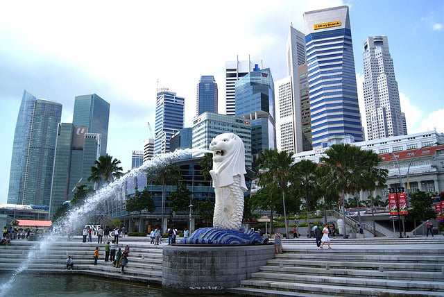 Must-Know Information for Startup Founders Relocating to Singapore